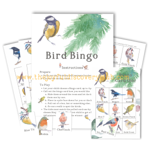 Bird Bingo - UK Bird Recognition