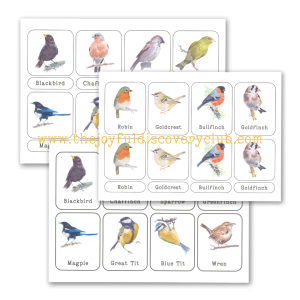 12 UK Birds Nomenclature cards featuring 12 of the most common Uk garden birds
