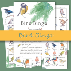 Bird Bingo – Learn to Recognise 12 UK Birds