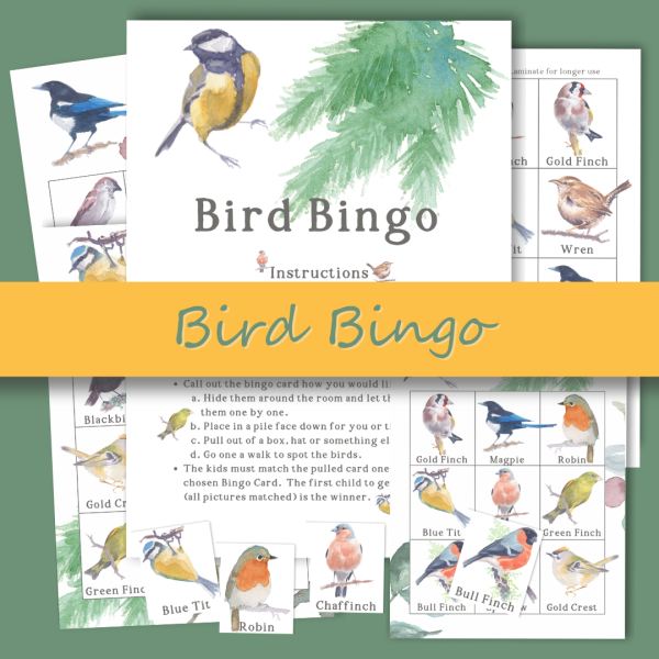 bird-bingo-png bird-bingo-png