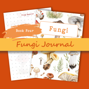 Fungi Journal Book 4