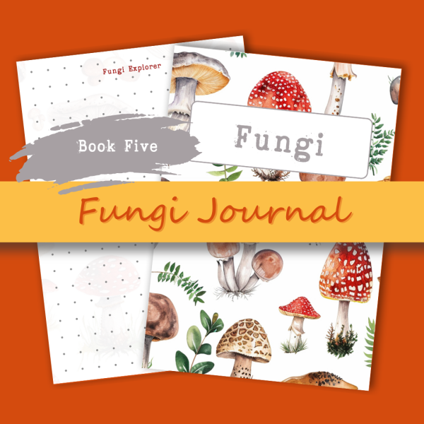 tjol-shop-products-instagram-post-zip-fungi-certificate-of-discovery-3 tjol-shop-products-instagram-post-zip-fungi-certificate-of-discovery-3