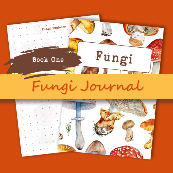 tjol-shop-products-instagram-post-zip-fungi-journal-book-1-transparent tjol-shop-products-instagram-post-zip-fungi-journal-book-1-transparent