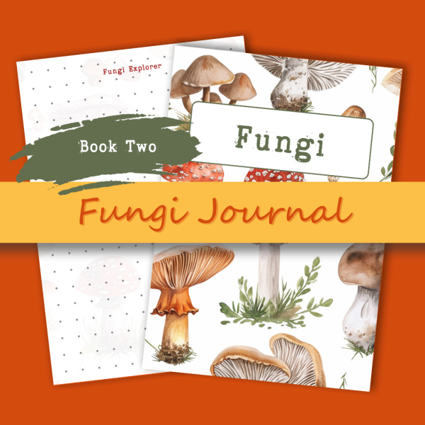 tjol-shop-products-instagram-post-zip-fungi-journal-book-2-transparent tjol-shop-products-instagram-post-zip-fungi-journal-book-2-transparent