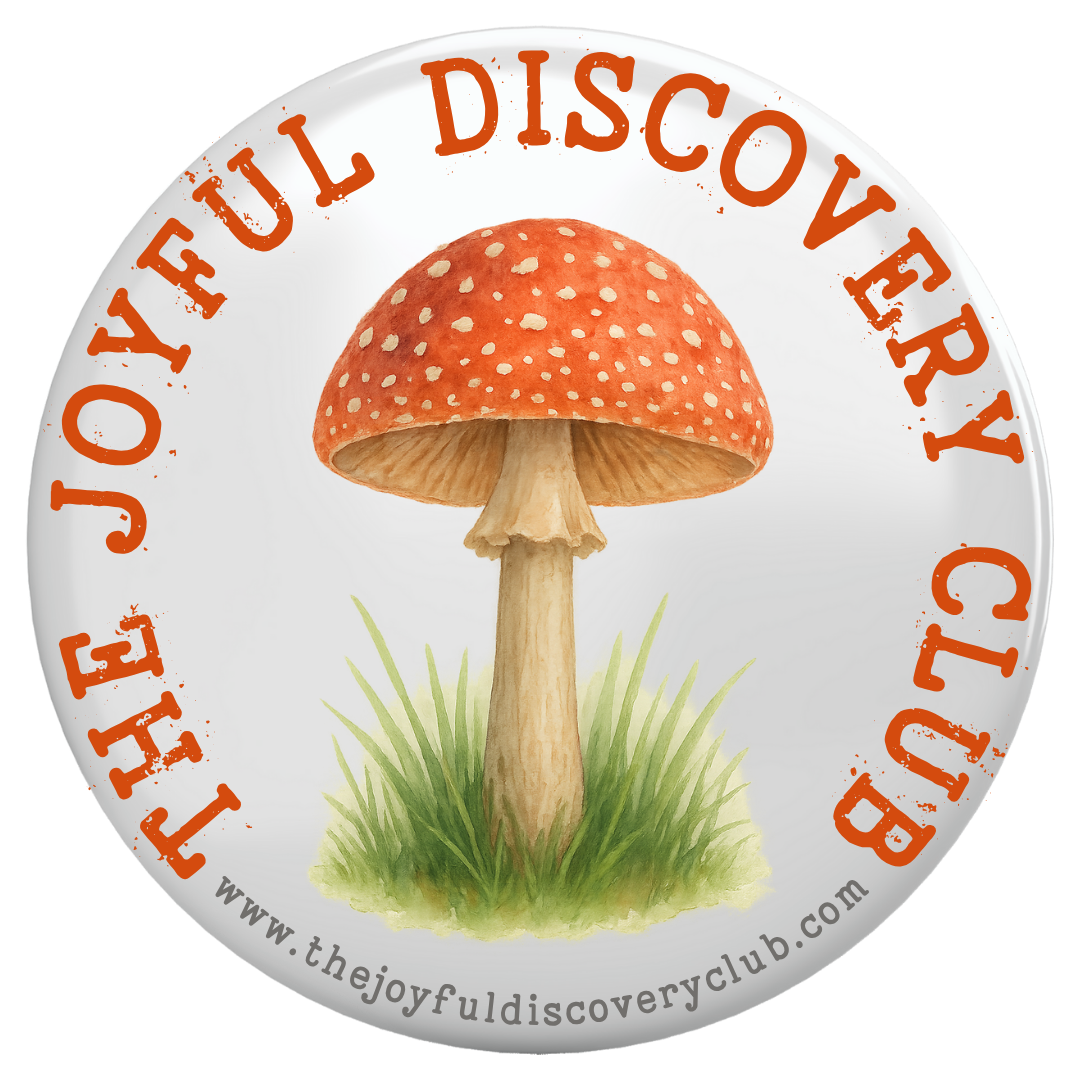 The Joyful Discovery Logo