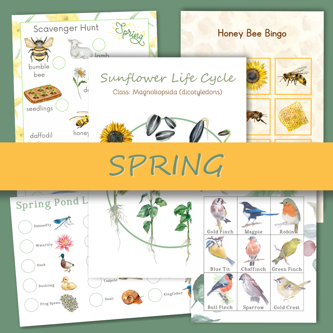 SPRING