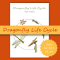 Dragonfly Life Cycle