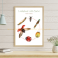 Ladybug Life Cycle 1