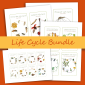 Life Cycle Bundle