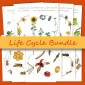 Life Cycle Bundle