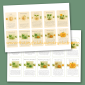 Pumpkin Life Cycle Smaller Cards