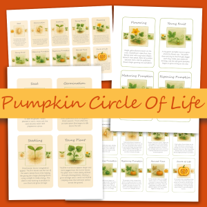 Pumpkin Life Cycle Cards
