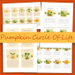 Pumpkin Life Cycle Cards