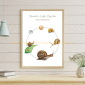 Snail Life Cycle 1