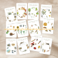 Life Cycle Bundle