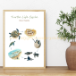 Turtle Life Cycle 2